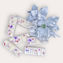 Load image into Gallery viewer, Pomegranade Wax Melts by Pure Essence Scent—white scented wax decorated with dried botanicals and decorative pebbles.