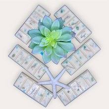 Load image into Gallery viewer, Seaside Oasis Wax Melts by Pure Essence Scent—white scented wax decorated with dried botanicals and decorative pebbles.