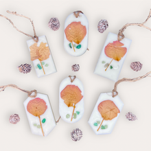 Load image into Gallery viewer, Fruity Apricot Sachets by Pure Essence Scent-white scented wax decorated with dried botanicals and pebbles for decoration, and twine loop for hanging.