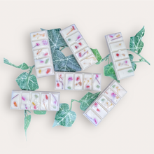 Load image into Gallery viewer, Refreshe Wax Melts by Pure Essence Scent—white scented wax decorated with dried botanicals and decorative pebbles.