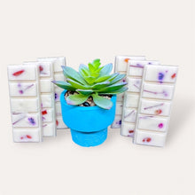 Load image into Gallery viewer, Pomegranade Wax Melts by Pure Essence Scent—white scented wax decorated with dried botanicals and decorative pebbles.