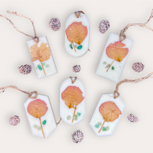 Load image into Gallery viewer, Fruity Apricot Sachets
